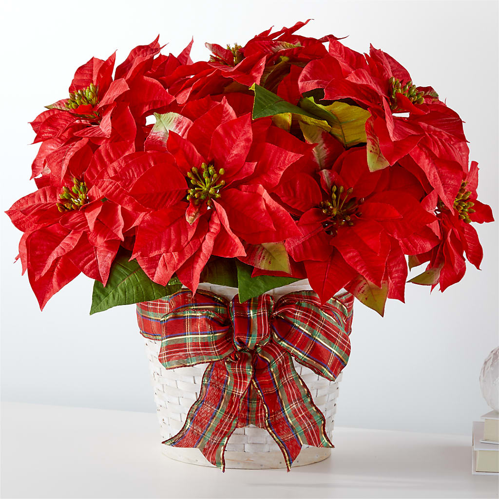 Happiest Holidays Poinsettia – The Flower Boutique, Gettysburg PA