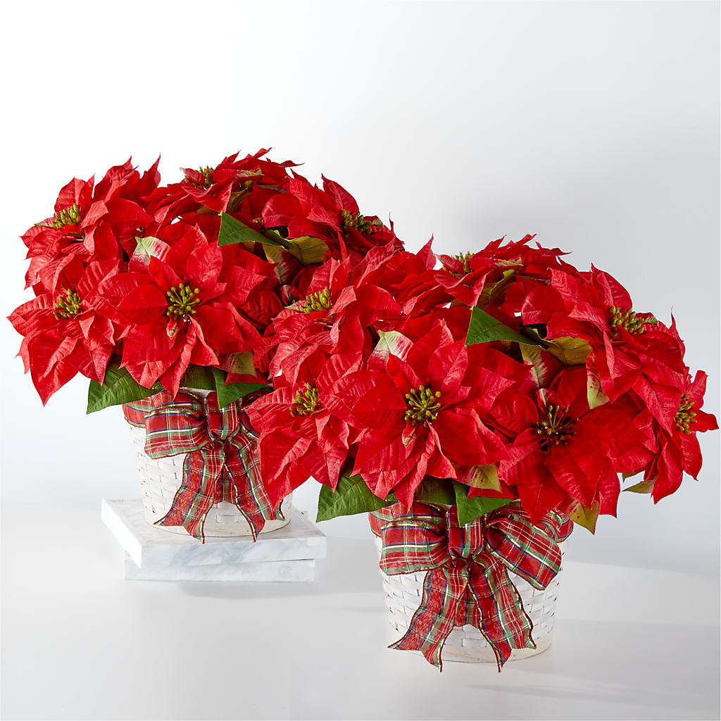 Happiest Holidays Poinsettia Bundle – The Flower Boutique, Gettysburg PA