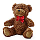 Adorable Plush Bear – The Flower Boutique, Gettysburg PA