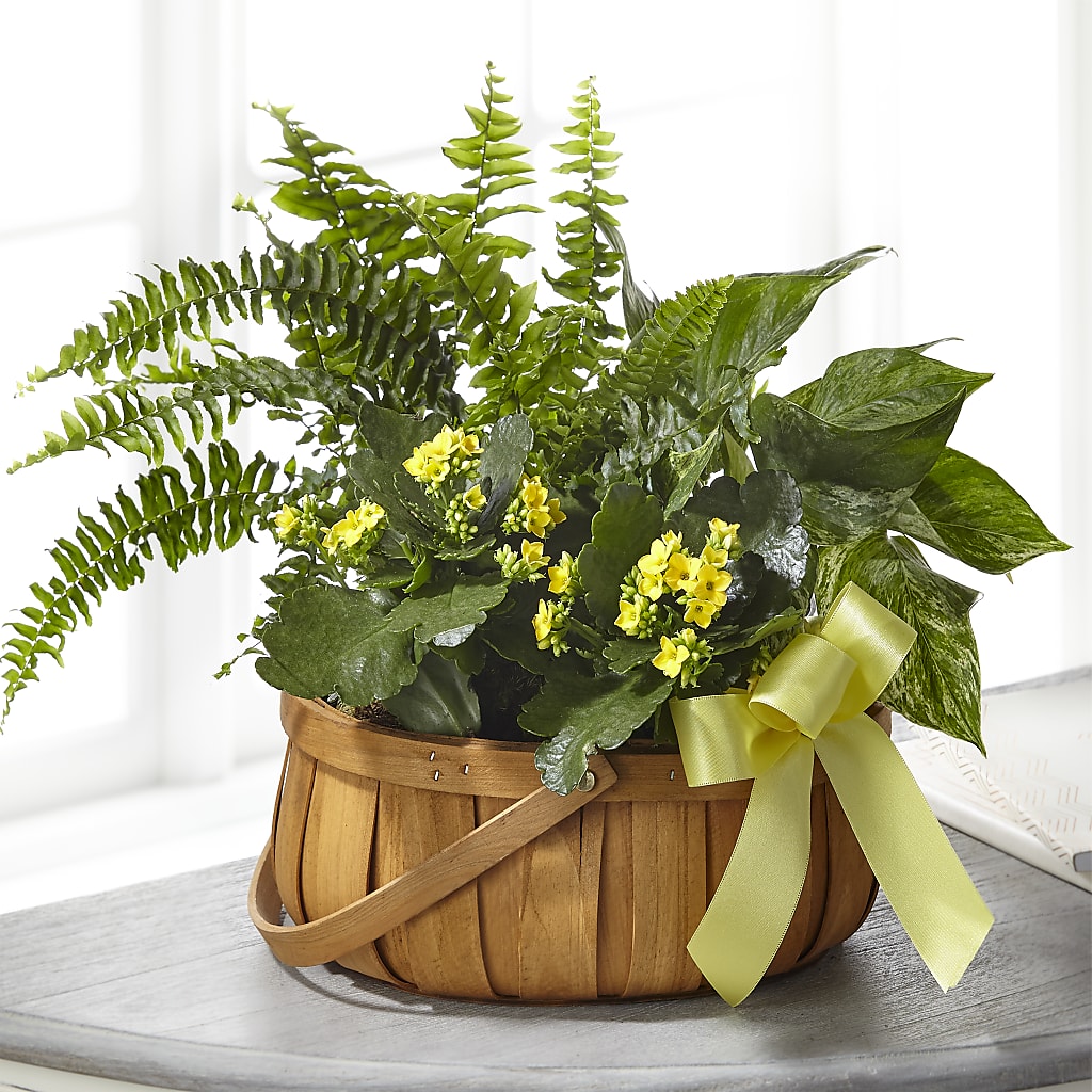 Always Dear Dishgarden – The Flower Boutique, Gettysburg PA