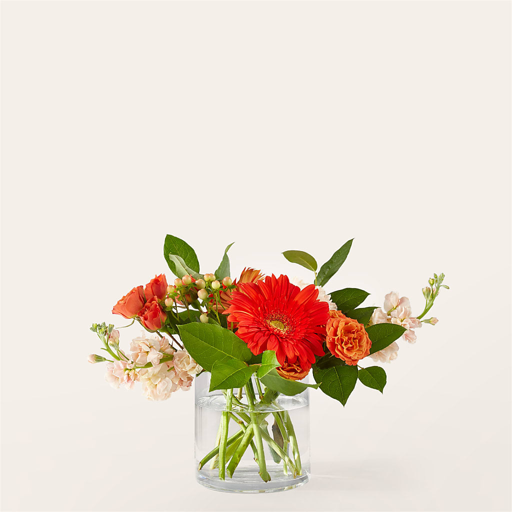 Paloma Please Bouquet – The Flower Boutique, Gettysburg PA