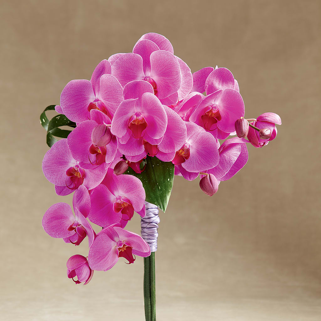 Glorious Bouquet – The Flower Boutique, Gettysburg PA
