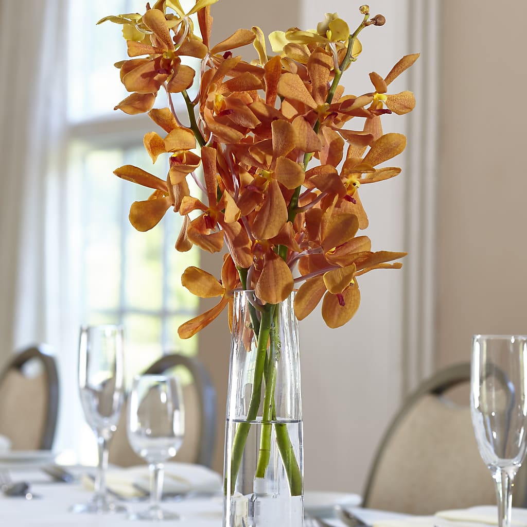 Orange Mokara Bud Vase – The Flower Boutique, Gettysburg PA