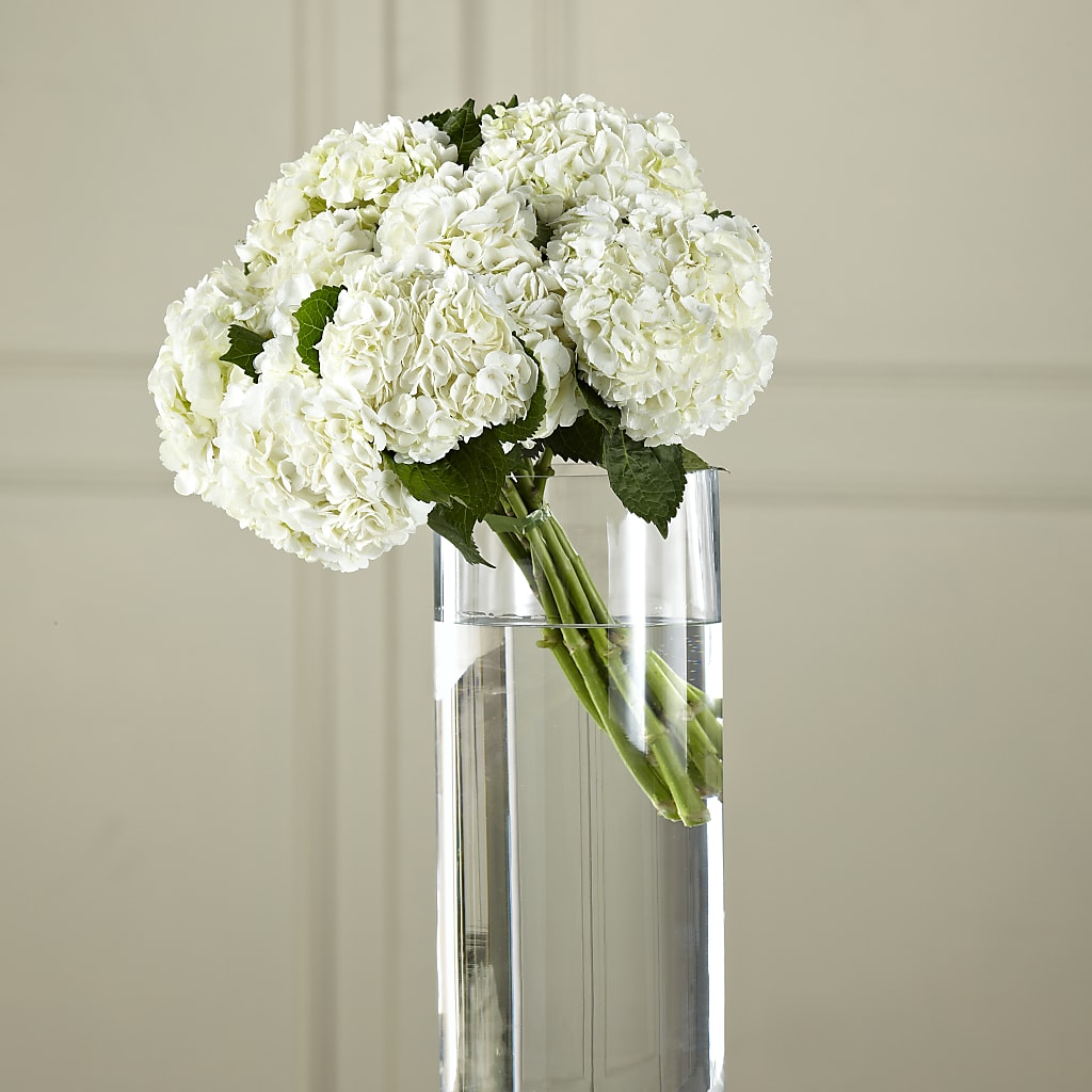 White Hydrangea Hand-Tied Bouquet – The Flower Boutique, Gettysburg PA