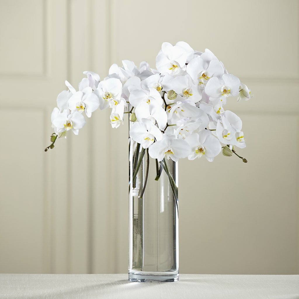 White Phalaenopsis Bouquet – The Flower Boutique, Gettysburg PA
