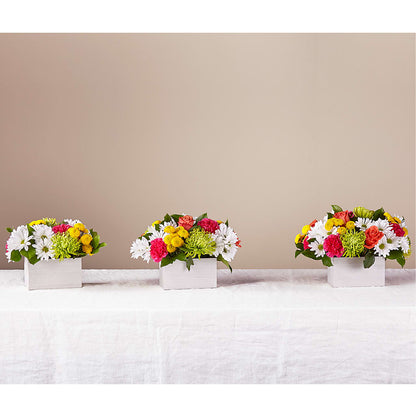 Sorbet Bouquet –  The Flower Boutique, Gettysburg PA