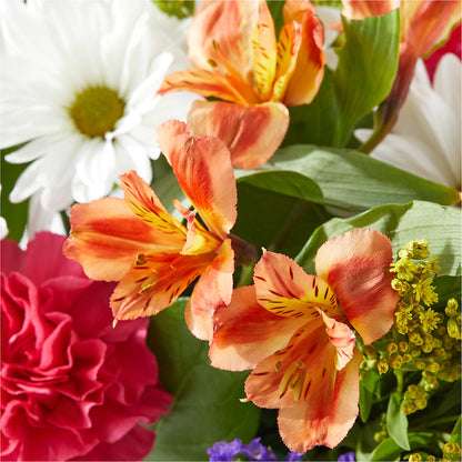 Oopsie Daisy Box Bouquet –  The Flower Boutique, Gettysburg PA