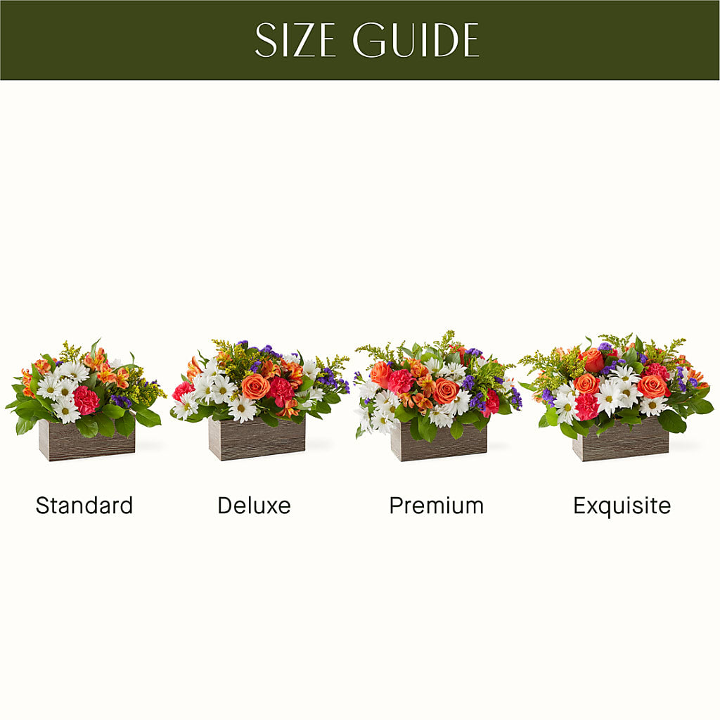 Oopsie Daisy Box Bouquet –  The Flower Boutique, Gettysburg PA