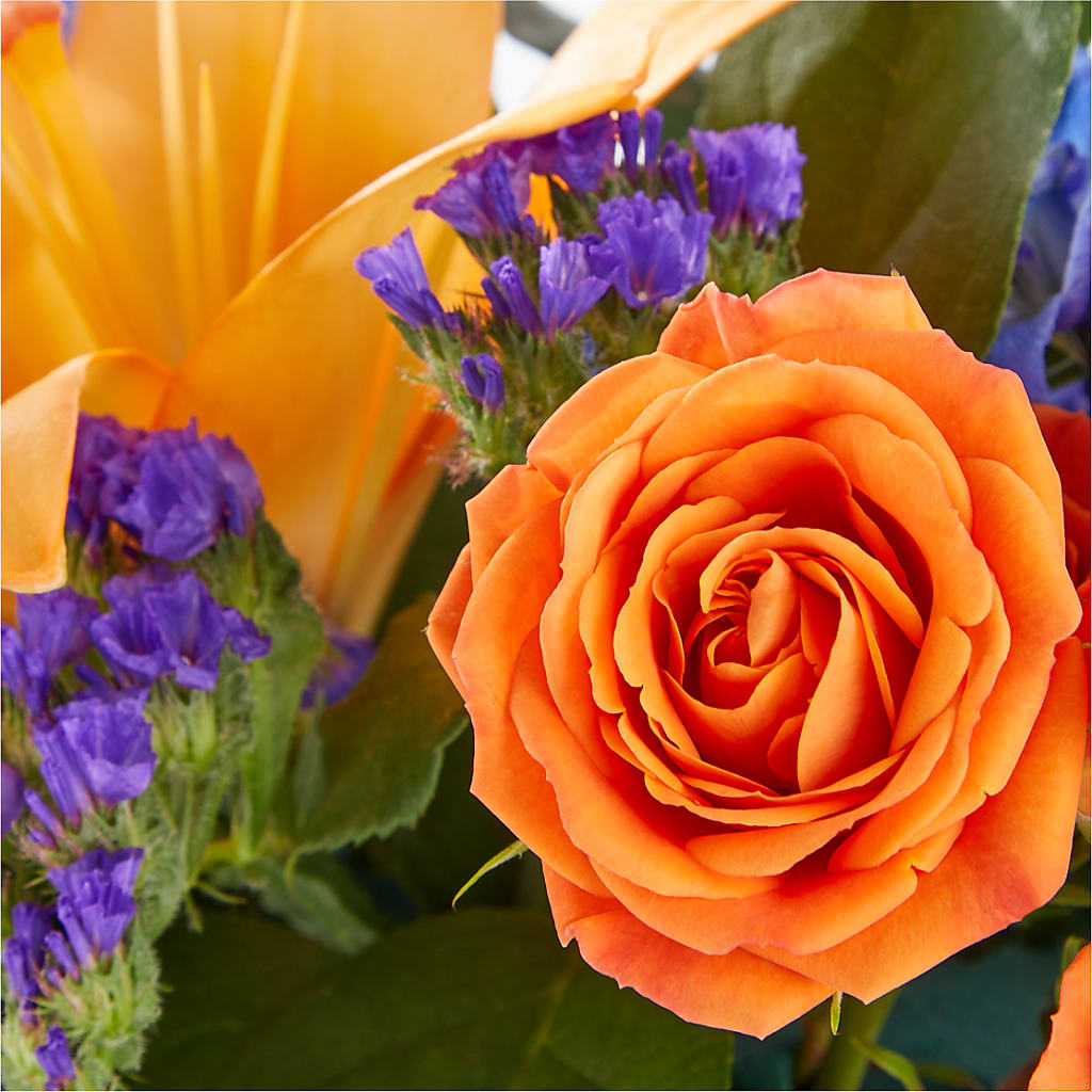 Radiant Citrus Box Bouquet –  The Flower Boutique, Gettysburg PA