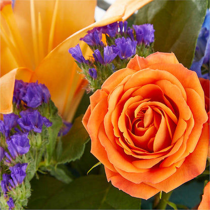 Radiant Citrus Box Bouquet –  The Flower Boutique, Gettysburg PA