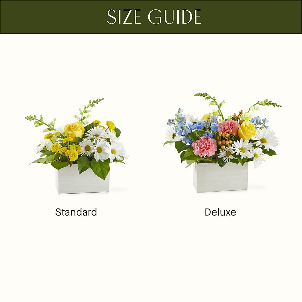 Sun Salutation Box Bouquet –  The Flower Boutique, Gettysburg PA