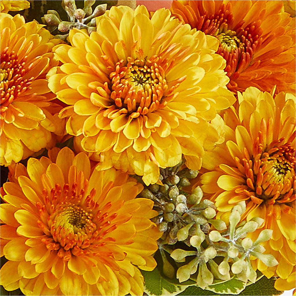 Peachy Pumpkin –  The Flower Boutique, Gettysburg PA