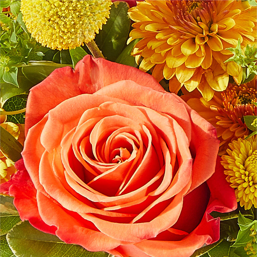 Gourdgeous Pumpkin –  The Flower Boutique, Gettysburg PA