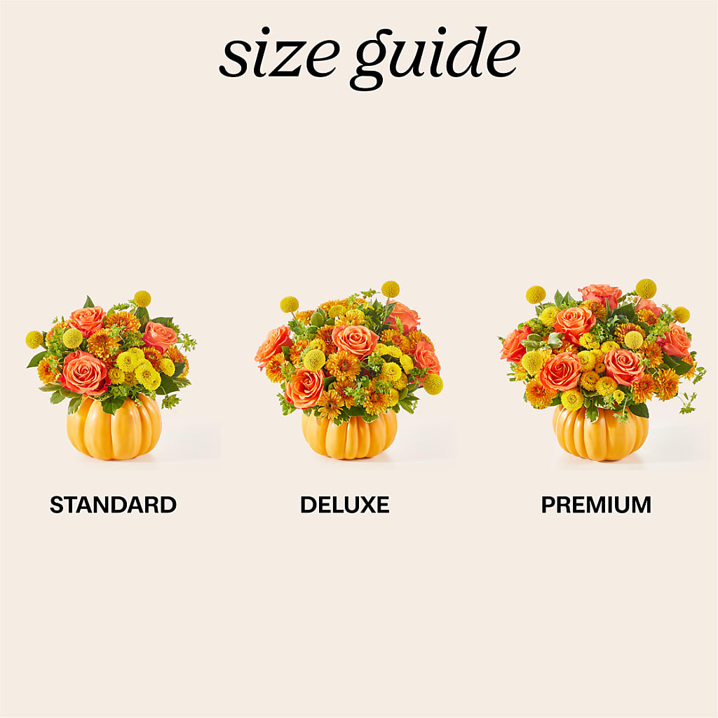 Gourdgeous Pumpkin –  The Flower Boutique, Gettysburg PA