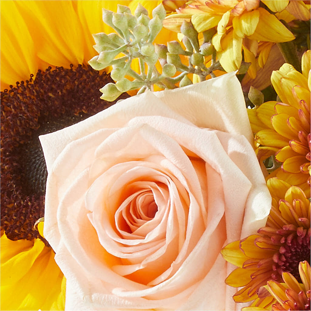 Pumpkin to Talk About Bouquet –  The Flower Boutique, Gettysburg PA