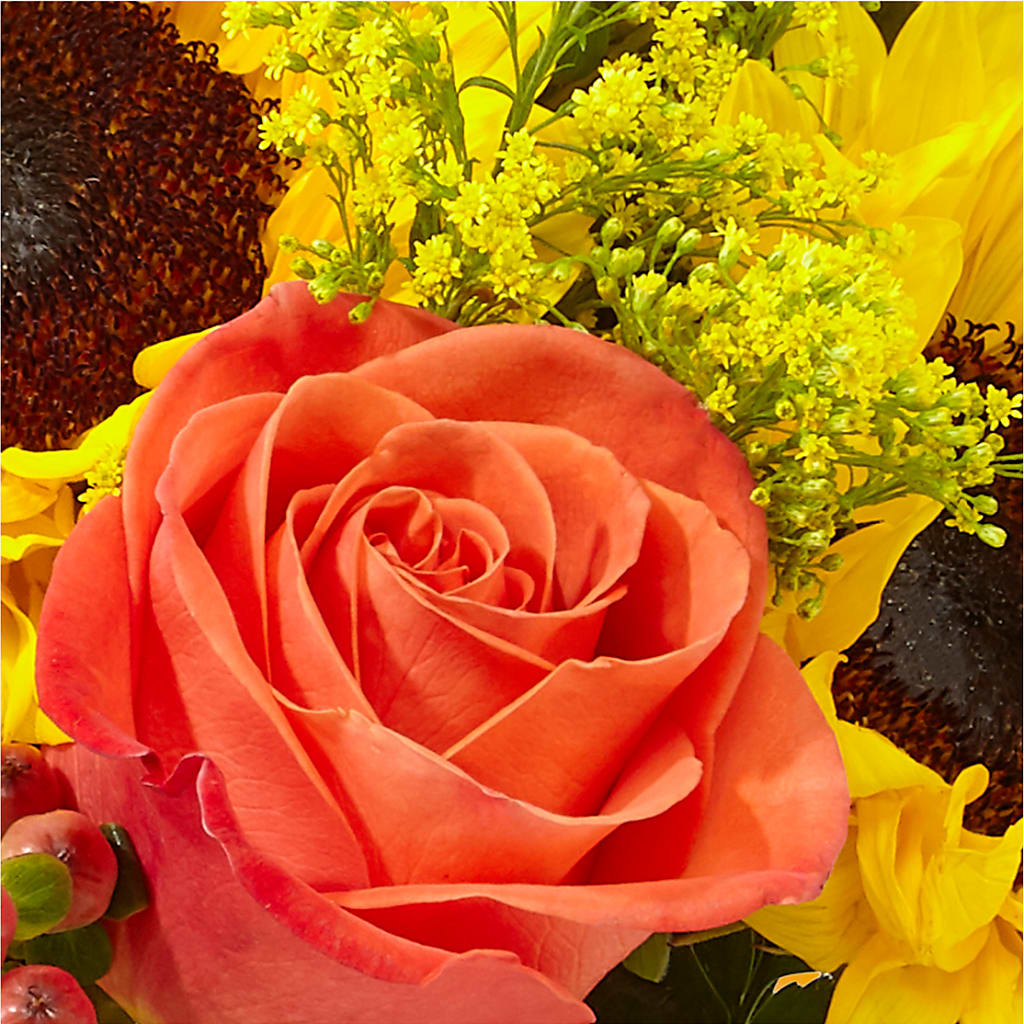 Pick of the Patch Pumpkin Bouquet –  The Flower Boutique, Gettysburg PA