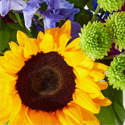 Catching Rays Bouquet –  The Flower Boutique, Gettysburg PA