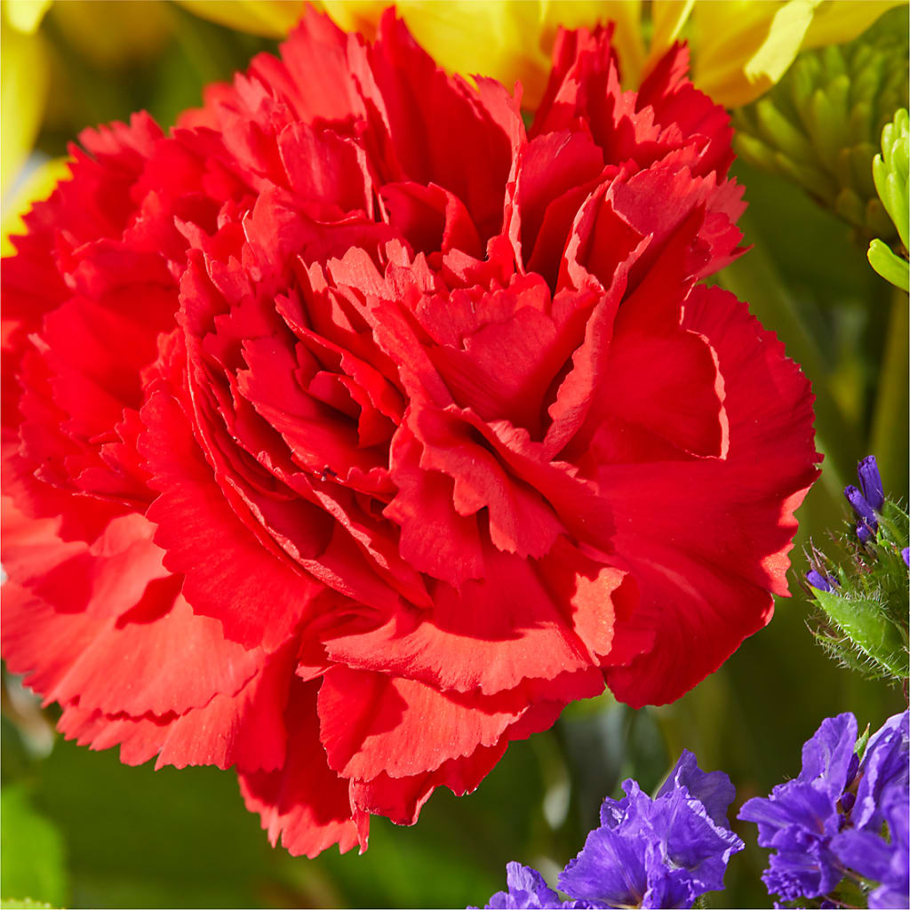 Brighter Days Bouquet –  The Flower Boutique, Gettysburg PA