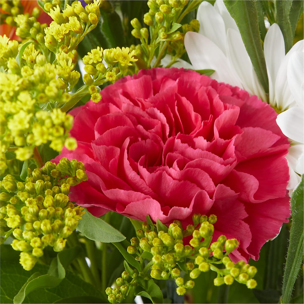 Oopsie Daisy Bouquet –  The Flower Boutique, Gettysburg PA