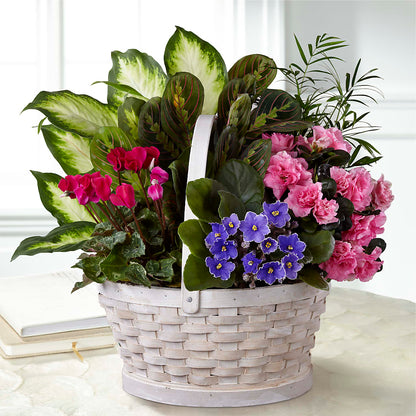 Peaceful Garden Planter –  The Flower Boutique, Gettysburg PA