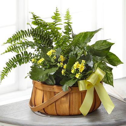 Always Dear Dishgarden –  The Flower Boutique, Gettysburg PA