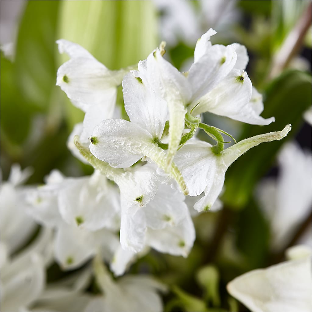 Classic Ivory – A Florist Original –  The Flower Boutique, Gettysburg PA