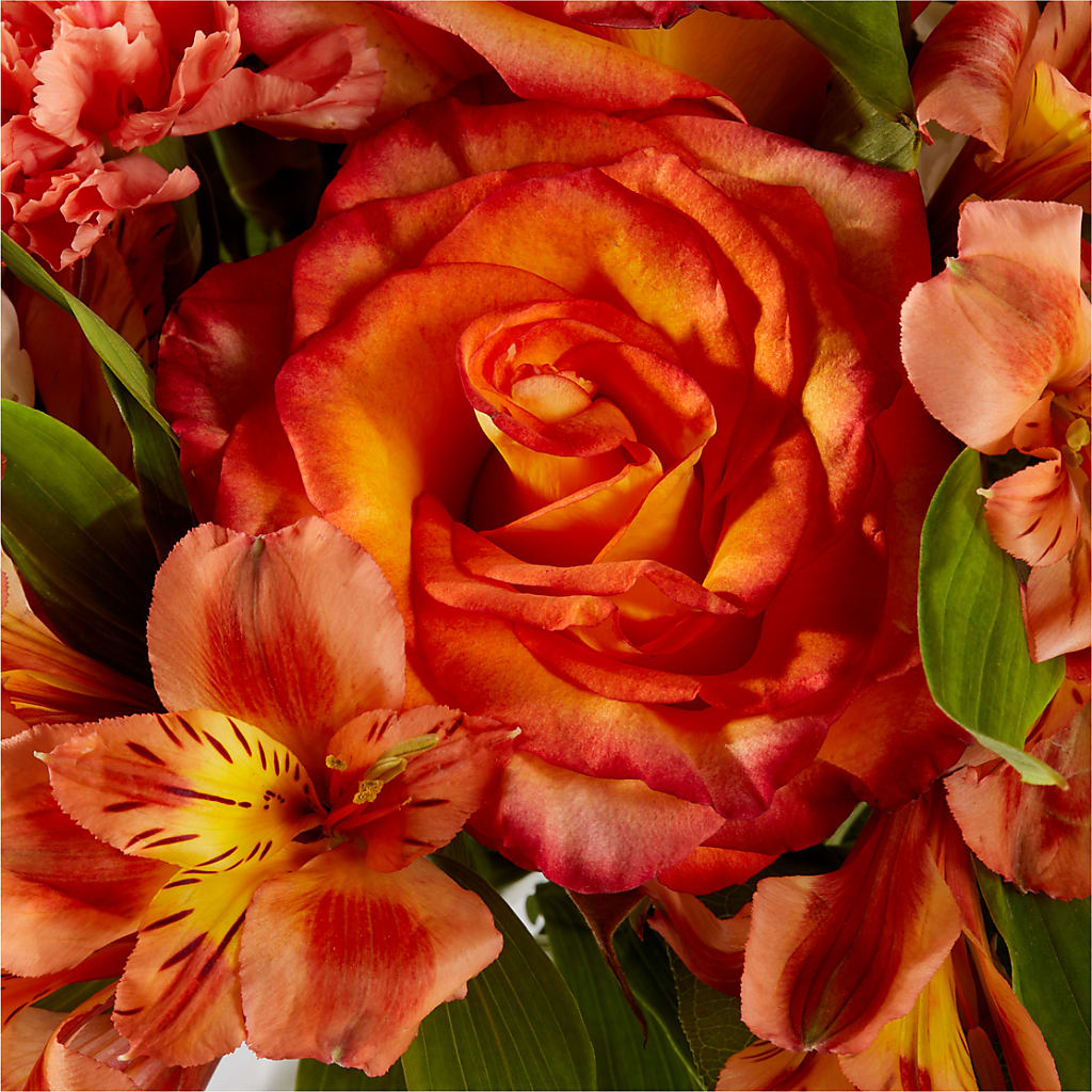 Apricot Glow Bouquet –  The Flower Boutique, Gettysburg PA