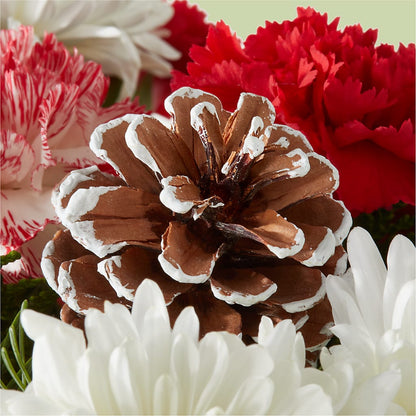 Candy Cane Lane Bouquet –  The Flower Boutique, Gettysburg PA