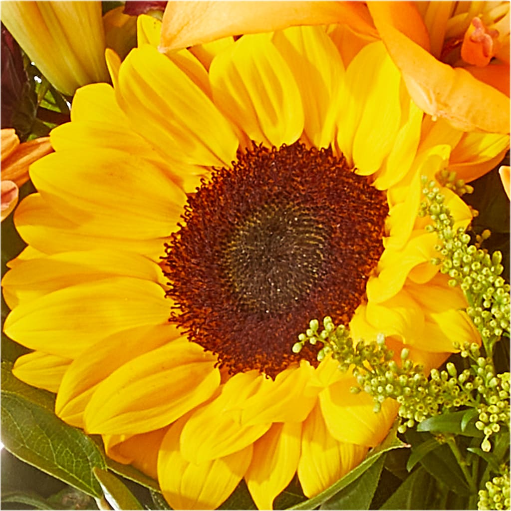 Seasons Change Bouquet –  The Flower Boutique, Gettysburg PA