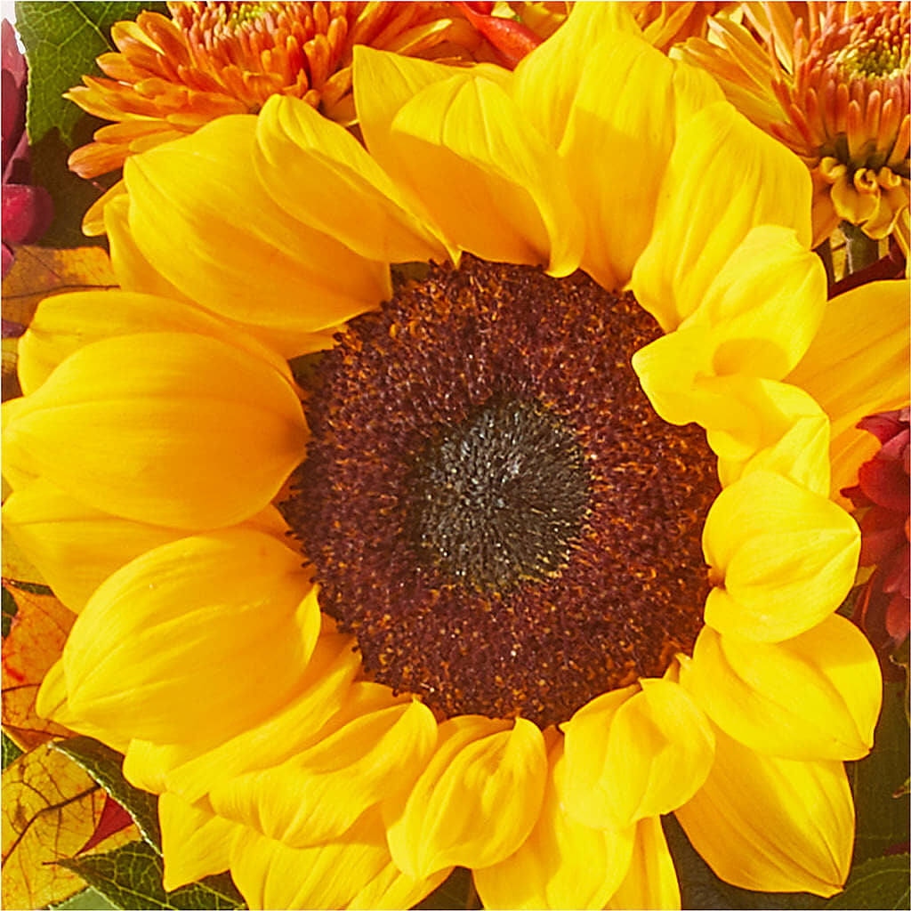 Sunny Side Bouquet –  The Flower Boutique, Gettysburg PA