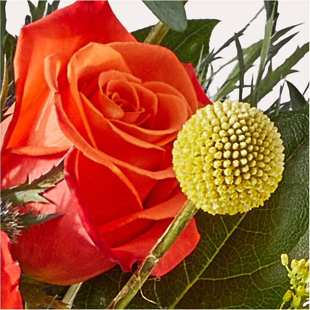 Disco Bouquet –  The Flower Boutique, Gettysburg PA