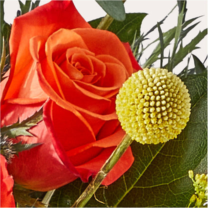 Disco Bouquet –  The Flower Boutique, Gettysburg PA