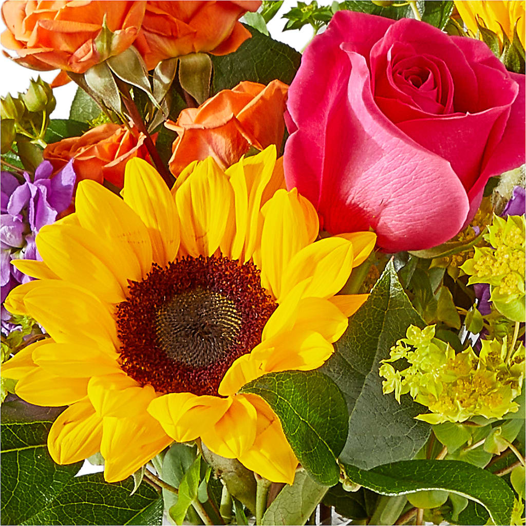 Vibrant Greetings Bouquet –  The Flower Boutique, Gettysburg PA