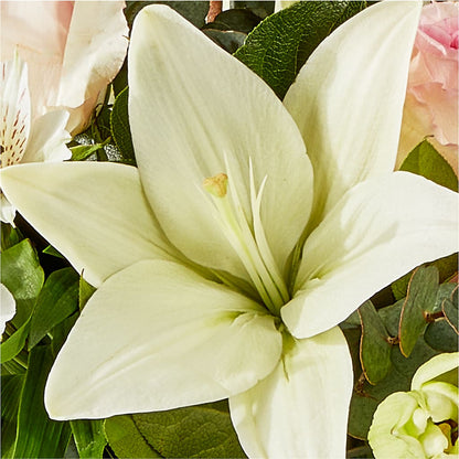 Ballet Slippers Bouquet –  The Flower Boutique, Gettysburg PA