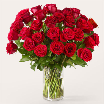 The One Red Rose Bouquet –  The Flower Boutique, Gettysburg PA