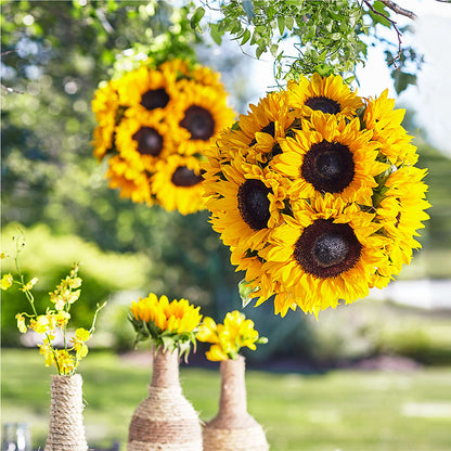 Sublime Garden Hanging Arrangement –  The Flower Boutique, Gettysburg PA