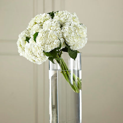 White Hydrangea Hand-Tied Bouquet –  The Flower Boutique, Gettysburg PA