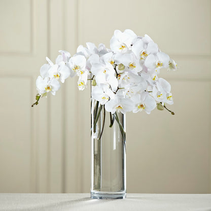 White Phalaenopsis Bouquet –  The Flower Boutique, Gettysburg PA